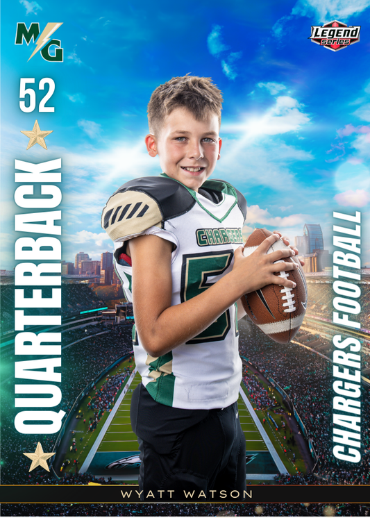Trading Cards (12)